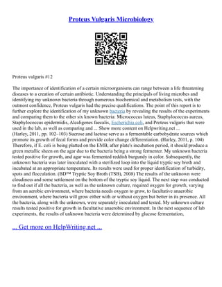 Proteus Vulgaris Microbiology
Proteus vulgaris #12
The importance of identification of a certain microorganisms can range between a life threatening
diseases to a creation of certain antibiotic. Understanding the principals of living microbes and
identifying my unknown bacteria through numerous biochemical and metabolism tests, with the
outmost confidence, Proteus vulgaris had the precise qualifications. The point of this report is to
further explore the identification of my unknown bacteria by revealing the results of the experiments
and comparing them to the other six known bacteria: Micrococcus luteus, Staphylococcus aureus,
Staphylococcus epidermidis, Alcaligenes faecalis, Escherichia coli, and Proteus vulgaris that were
used in the lab, as well as comparing and ... Show more content on Helpwriting.net ...
(Harley, 2011, pp. 102–103) Sucrose and lactose serve as a fermentable carbohydrate sources which
promote its growth of fecal forms and provide color change differentiation. (Harley, 2011, p. 104)
Therefore, if E. coli is being platted on the EMB, after plate's incubation period, it should produce a
green metallic sheen on the agar due to the bacteria being a strong fermenter. My unknown bacteria
tested positive for growth, and agar was fermented reddish burgundy in color. Subsequently, the
unknown bacteria was later inoculated with a sterilized loop into the liquid tryptic soy broth and
incubated at an appropriate temperature. Its results were used for proper identification of turbidity,
spots and flocculation. (BD™ Tryptic Soy Broth (TSB), 2008) The results of the unknown were
cloudiness and some settlement on the bottom of the tryptic soy liquid. The next step was conducted
to find out if all the bacteria, as well as the unknown culture, required oxygen for growth, varying
from an aerobic environment, where bacteria needs oxygen to grow, to facultative anaerobic
environment, where bacteria will grow either with or without oxygen but better in its presence. All
the bacteria, along with the unknown, were separately inoculated and tested. My unknown culture
results tested positive for growth in facultative anaerobic environment. In the next sequence of lab
experiments, the results of unknown bacteria were determined by glucose fermentation,
... Get more on HelpWriting.net ...
 