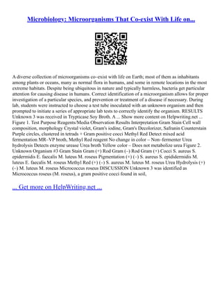 Microbiology: Microorganisms That Co-exist With Life on...
A diverse collection of microorganisms co–exist with life on Earth; most of them as inhabitants
among plants or oceans, many as normal flora in humans, and some in remote locations in the most
extreme habitats. Despite being ubiquitous in nature and typically harmless, bacteria get particular
attention for causing disease in humans. Correct identification of a microorganism allows for proper
investigation of a particular species, and prevention or treatment of a disease if necessary. During
lab, students were instructed to choose a test tube inoculated with an unknown organism and then
prompted to initiate a series of appropriate lab tests to correctly identify the organism. RESULTS
Unknown 3 was received in Trypticase Soy Broth. A ... Show more content on Helpwriting.net ...
Figure 1. Test Purpose Reagents/Media Observation Results Interpretation Gram Stain Cell wall
composition, morphology Crystal violet, Gram's iodine, Gram's Decolorizer, Safranin Counterstain
Purple circles, clustered in tetrads + Gram positive cocci Methyl Red Detect mixed acid
fermentation MR–VP broth, Methyl Red reagent No change in color – Non–fermenter Urea
hydrolysis Detects enzyme urease Urea broth Yellow color – Does not metabolize urea Figure 2.
Unknown Organism #3 Gram Stain Gram (+) Rod Gram (–) Rod Gram (+) Cocci S. aureus S.
epidermidis E. faecalis M. luteus M. roseus Pigmentation (+) (–) S. aureus S. epididermidis M.
luteus E. faecalis M. roseus Methyl Red (+) (–) S. aureus M. luteus M. roseus Urea Hydrolysis (+)
(–) M. luteus M. roseus Micrococcus roseus DISCUSSION Unknown 3 was identified as
Micrococcus roseus (M. roseus), a gram positive cocci found in soil,
... Get more on HelpWriting.net ...
 