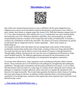 Microbiology Essay
One of the most common bacteria known to man is affiliated with the genus Staphylococcus.
Staphylococcus aureus can be described as bacteria that present as gram positive cocci either in
pairs, tetrads, short chains or irregular grape like clusters (2A). With their diameter ranging from 0.5
to 1.5 um, other characteristics that comprise this bacteria include their non–spore forming ability
and nonmotile ways (2A). Defined as facultative anaerobes, these microorganisms are usually
encapsulated(2A) and are a member of the normal flora that resides on humans(2D). In humans, a
common site of habitation would be the nares(2D). The chances of S.aureus colonization are greater
in individuals that are diagnosed with hiv, insulin–dependant ... Show more content on
Helpwriting.net ...
An example would be when individuals who are asymptomatic nasal carriers of this bacteria
accidentally autoinoculate another part of their body, resulting in them now being infected (DIC).
An usual route that can also be taken to assist in the spread of S.aureus is through fomites(3a).
Though highly unlikely, sharing towels was once the cause of staphylococcal infections in a high
school football team(3a). The different opportunities presented for the dissemination of the
microorganism are the factors contributing to its transportation throughout communities.
To increase their effectiveness, many organisms resort to producing molecules called virulence
factors. These molecules prove to be beneficial to the pathogen by strengthening their pathogenic
capabilities. Through many examinations and dissections performed on S.aureus, it was revealed
that that bacteria itself was home to a wide range of virulence factors. Being the most common, the
pathogen is comprised of surface adhesions whose main job is to regulate the attachment of the
bacteria to its target tissues(4b). This in turn helps guarantee the bacteria a better chance of invading
the tissue and causing an infection. In addition, another important factor is the polysaccharide
capsule(4c). Even though many variations of the capsule have been reported, type 5 and 8 have been
deemed to play a more
... Get more on HelpWriting.net ...
 