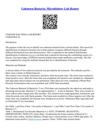 Unknown Bacteria: Microbiology Lab Report
UNKNOW BACTERIA LAB REPORT
UNKNOWN 36
Introduction
The purpose of this lab was to identify two unknown bacteria from a mixed culture. The reason for
identification of unknown bacteria was to help students recognize different bacteria through
different biochemical tests and characteristics. This is important in the medical field because
identification of unknown bacteria can help treat a patient by knowing the contributing source of a
disease. Also knowledge of different bacteria helped others make antibiotics used today. This lab
was completed by using the methods learned thus far in identification of bacteria.
Materials and Methods
A mixed culture of two unknown bacteria was provided by the instructor. The methods used for ...
Show more content on Helpwriting.net ...
The colonies were smooth, translucent, and had a white brownish color. The Gram stain resulted in
Gram positive cocci. After the Gram stain was completed, the bacteria were streaked on a Mannitol–
Salt Agar plate and a Catalase test was performed. After these test were completed a Phenol Red
Dextrose Fermentation tube was inoculated, and a SIM Tube inoculated.
The Unknown Bacteria 36/Bacteria # 2 on a TSA plate was examined by the naked eye and under a
dissecting microscope. Bacteria # 2 was approximately 3 – 4 mm in diameter. They were circular in
form with an entire margin and a flat elevation. The colonies were rough (granular), translucent, and
white brownish color with black granules. The Gram stain resulted in a Gram negative rod. After the
Gram stain was completed, the bacteria were streaked on an Eosin –Methylene Blue Agar plate and
an Enterotube II was inoculated.
See Table 1 and Flow Chart 1 for results of Bacteria # 1 and Table 2 and Flow Chart 2 for results of
Bacteria # 2.
Table 1: Biochemical Test Results (Bacteria # 1) TEST | PURPOSE | REAGENTS |
OBSERVATIONS | RESULTS | Gram Stain | To determine the Gram reaction of Bacteria #1 |
Crystal violet, Iodine, Alcohol, Safranin | Purple cocci | Gram positive cocci | MSAAgar plate | To
determine Gram positive Staphylococcus species | None | Yellow halo around streak |
 