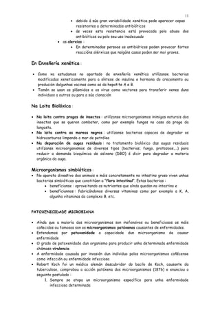 11
                     • debido á súa gran variabilidade xenética pode aparecer cepas
                        resistentes a determinados antibióticos
                     • ás veces esta resistencia está provocada polo abuso dos
                        antibióticos ou polo seu uso inadecuado
              • as alerxias :
                     • En determinadas persoas os antibióticos poden provocar fortes
                        reaccións alérxicas que nalgúns casos poden ser moi graves.


En Enxeñería xenética :

• Como xa estudamos no apartado de enxeñería xenética utilízanse bacterias
  modificadas xeneticamente para a síntese de insulina e hormona do crecemento ou
  produción dalgunhas vacinas como as da hepatite A e B.
• Tamén se usan os plásmidos e os virus como vectores para transferir xenes duns
  individuos a outros ou para a súa clonación


Na Loita Biolóxica :

• Na loita contra pragas de insectos : utilízanse microorganismos inimigos naturais dos
  insectos que se queren combater, como por exemplo fungos no caso da praga da
  langosta.
• Na loita contra as mareas negras : utilízanse bacterias capaces de degradar os
  hidrocarburos limpando o mar de petróleo
• Na depuración de augas residuais : no tratamento biolóxico das augas residuais
  utilízanse microorganismos de diversos tipos (bacterias, fungo, protozoos,...) para
  reducir a demanda bioquímica de osíxeno (DBO) é dicir para degradar a materia
  orgánica da auga.


Microorganismos simbióticos :
• No aparato dixestivo dos animais e máis concretamente no intestino groso viven unhas
  bacterias simbióticas que constitúen a “flora intestinal”. Estas bacterias :
      • benefícianse : aproveitando os nutrientes que aínda quedan no intestino e
      • benefíciannos : fabricándonos diversas vitaminas como por exemplo a K, A,
         algunha vitaminas do complexo B, etc.



PATOXENICIDADE MICROBIANA

• Aínda que a maioría dos microorganismos son inofensivos ou beneficiosos os máis
  coñecidos ou famosos son os microorganismos patóxenos causantes de enfermidades.
• Entendemos por patoxenidade a capacidade dun microorganismo de causar
  enfermidade
• O grado de patoxenidade dun organismo para producir unha determinada enfermidade
  chámase virulencia
• A enfermidade causada por invasión dun individuo polos microorganismos coñécense
  como infección ou enfermidade infecciosa
• Robert Koch foi un médico alemán descubridor do bacilo de Koch, causante da
  tuberculose, comprobou a acción patóxena dos microorganismos (1876) e enunciou o
  seguinte postulado :
      1. Sempre se atopa un microorganismo específico para unha enfermidade
         infecciosa determinada
 