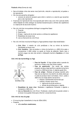 5
Fisioloxía vírica (forma de vida)

• Das actividades vitais dos seres vivos (nutrición, relación e reprodución), só posúen a
  de reprodución
• Os virus son parasitos obrigados :
       • carecen do material necesario para obter a materia e a enerxía que necesitan
          para a súa reprodución
• O proceso de reprodución dos virus equivale polo tanto ó seu ciclo vital e precisa dunha
  célula hóspede de onde conseguir as enzimas necesarias para a síntese dos capsómeros
  e a replicación do seu ácido nucleico

• No ciclo vital dun virus podemos distinguir as seguintes fases :
      1. Fixación
      2. Penetración
      3. Eclipse : replicación do ácido nucleico e síntese de capsómeros
      4. Ensamblaxe de novos virus
      5. Lise ou liberación (no ciclo lítico)

• No ciclo vital dos virus bacteriófagos ou fagos podemos atopar dúas modalidades :

       a) Ciclo lítico : ó remate do ciclo prodúcese a lise ou rotura da bacteria
          liberándose os novos virus
       b) Ciclo lisoxénico : Non se produce a rotura da bacteria e o ADN vírico pasa a
          incorporarse ó ADN celular ou queda en forma de plásmido. Neste caso a
          bacteria segue coa súa vida normal e chámaselle bacteria lisoxénica e ó virus
          profago

Ciclo vital dun bacteriófago ou fago

                                  1. Fase de fixación : O fago sitúase sobre a parede da
                                     bacteria e fíxase a ela coas fibras caudais
                                  2. Fase de penetración : Coa axuda dun enzima
                                     presente na placa basal perfora a parede da bacteria
                                     e inxecta o ADN bacteriano. A cápsida queda fóra
                                  3. Fase de eclipse : Chámase así porque durante esta
                                     fase non se observan virus dentro da célula aínda que
                                     é cando se produce maior actividade, é dicir, cando o
                                     ADN vírico se atopa dentro da bacteria :
                                           • bloquea o metabolismo bacteriano que
                                           • comeza a formar novos virus :
                                               • replicación do ácido nucleico e
                                               • síntese de proteínas para a cápsida
       4. Ensamblaxe de novos virus : Reúnense o capsómeros formando a cápside e
          incorporan o ADN vírico
       5. Lise ou liberación (no ciclo lítico) : Prodúcese a destrución da parede celular e
          os novos virus quedan libres para infectar a novas bacterias.

Ciclo vital do virus da gripe

• O virus da gripe é semellante ó virus do SIDA (VIH)
• Presenta
      • unha envoltura membranosa,
 