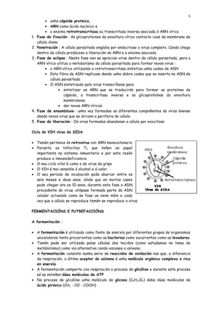 6
          • unha cápside proteica,
          • ARN como ácido nucleico e
          • o enzima retrotranscritasa ou transcritasa inversa asociada ó ARN vírico
1.   Fase de fixación : As glicoproteinas da envoltura vírica contacta coas da membrana da
     célula diana
2.   Penetración : A célula parasitada engloba por endocitose o virus completo. Cando chega
     dentro da célula prodúcese a liberación do ARN e a enzima asociada
3.   Fase de eclipse : Nesta fase non se aprecian virus dentro da célula parasitada, pero o
     ARN vírico utiliza o metabolismo da célula parasitada para formar novos virus :
          • o ARN vírico utilizando a retrotranscritasa sintetiza unha cadea de ADN
          • Esta fibra de ADN replícase dando unha dobre cadea que se inserta no ADN da
             célula parasitada
          • O ADN sintetizado polo virus transcríbese para
                  • sintetizar os ARN que se traducirán para formar as proteínas da
                     cápside, a trasncritasa inversa e as glicoproteínas da envoltura
                     membranosa
                  • dar novos ARN víricos
4.   Fase de ensamblaxe : unha vez formadas os diferentes compoñentes do virus únense
     dando novos virus que se dirixen a periferia da célula
5.   Fase de liberación : Os virus formados abandonan a célula por exocitose

Ciclo do VIH virus da SIDA

• Tamén pertence ós retrovirus con ARN monocatenario
• Parasita os linfocitos T4 que teñen un papel
  importante no sistema inmunitario e por esta razón
  produce a inmunodeficiencia
• O seu ciclo vital é como o do virus da gripe
• O VIH é moi sensible ó alcohol e á calor.
• O seu período de incubación pode abarcar entre os
  seis meses e dous anos, aínda que en moitos casos
  pode chegar ata os 10 anos, durante esta fase o ADN
  procedente do virus, atópase formado parte do ADN
  celular actuando como se fose un xene máis e cada
  vez que a célula se reproduce tamén se reproduce o virus.

FERMENTACIÓNS E PUTREFACCIÓNS

A fermentación :

• A fermentación é utilizada como fonte de enerxía por diferentes grupos de organismos
  unicelulares tanto procariontes como as bacterias como eucariontes como as levaduras.
• Tamén pode ser utilizada polas células dos tecidos (como estudamos no tema do
  metabolismo) como vía alternativa cando escasea o osíxeno.
• A fermentación consiste nunha serie de reaccións de oxidación nas que, a diferencia
  da respiración, o último aceptor do osíxeno é unha molécula orgánica complexa e rica
  en enerxía
• A fermentación comparte coa respiración o proceso de glicólise e durante este proceso
  só se obteñen dúas moléculas de ATP
• No proceso de glicólise unha molécula de glicosa (C6H12O6) daba dúas moléculas de
  ácido pirúvico (CH3 - CO - COOH)
 