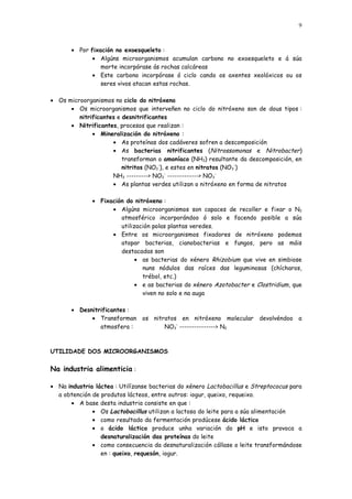 9



       • Por fixación no exoesqueleto :
              • Algúns microorganismos acumulan carbono no exoesqueleto e á súa
                 morte incorpórase ás rochas calcáreas
              • Este carbono incorpórase ó ciclo cando os axentes xeolóxicos ou os
                 seres vivos atacan estas rochas.

• Os microorganismos no ciclo do nitróxeno
      • Os microorganismos que interveñen no ciclo do nitróxeno son de dous tipos :
         nitrificantes e desnitrificantes
      • Nitrificantes, procesos que realizan :
              • Mineralización do nitróxeno :
                     • As proteínas dos cadáveres sofren a descomposición
                     • As bacterias nitrificantes (Nitrossomonas e Nitrobacter )
                         transforman o amoníaco (NH3) resultante da descomposición, en
                         nitritos (NO2-), e estes en nitratos (NO3-)
                     NH3 ---------> NO2- -------------> NO3-
                     • As plantas verdes utilizan o nitróxeno en forma de nitratos

              • Fixación do nitróxeno :
                    • Algúns microorganismos son capaces de recoller e fixar o N2
                       atmosférico incorporándoo ó solo e facendo posible a súa
                       utilización polas plantas veredes.
                    • Entre os microorganismos fixadores de nitróxeno podemos
                       atopar bacterias, cianobacterias e fungos, pero as máis
                       destacadas son
                             • as bacterias do xénero Rhizobium que vive en simbiose
                               nuns nódulos das raíces das leguminosas (chícharos,
                               trébol, etc.)
                             • e as bacterias do xénero Azotobacter e Clostridium , que
                               viven no solo e na auga

       • Desnitrificantes :
             • Transforman os nitratos en nitróxeno molecular            devolvéndoo a
                atmosfera :       NO3- ---------------> N2



UTILIDADE DOS MICROORGANISMOS


Na industria alimenticia :

• Na industria láctea : Utilízanse bacterias do xénero Lactobacillus e Streptococus para
  a obtención de produtos lácteos, entre outros: iogur, queixo, requeixo.
      • A base desta industria consiste en que :
              • Os Lactobacillus utilizan a lactosa do leite para a súa alimentación
              • como resultado da fermentación prodúcese ácido láctico
              • o ácido láctico produce unha variación do pH e isto provoca a
                 desnaturalización das proteínas do leite
              • como consecuencia da desnaturalización cállase o leite transformándose
                 en : queixo, requesón, iogur.
 