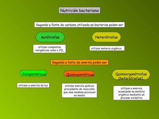 Nutrición bacteriana utilizan materia orgánica Segundo a fonte de carbono utilizada as bacterias poden ser Autótrofas Heterótrofas utilizan compostos inorgánicos como o CO 2 Segundo a fonte de enerxía poden ser Fotosintéticas utilizan a enerxía da luz Quimiosintéticas utilizan enerxía química procedente de reaccións que elas mesmas provocan no medio Quimiorganótrofas (heterótrofas), utilizan a enerxía acumulada na materia orgánica mediante un proceso oxidativo 