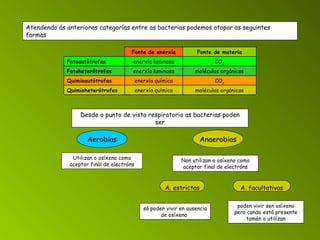 Atendendo ás anteriores categorías entre as bacterias podemos atopar as seguintes formas    Desde o punto de vista respiratorio as bacterias poden ser Aerobias Utilizan o osíxeno como aceptor final de electróns Anaerobias Non utilizan o osíxeno como aceptor final de electróns A. estrictas A. facultativas só poden vivir en ausencia de osíxeno   poden vivir sen osíxeno pero cando está presente tamén o utilizan moléculas orgánicas enerxía química Quimioheterótrofas CO 2 enerxía química Quimioautótrofas moléculas orgánicas enerxía luminosa Fotoheterótrofas CO 2 enerxía luminosa Fotoautótrofas  Fonte de materia Fonte de enerxía 