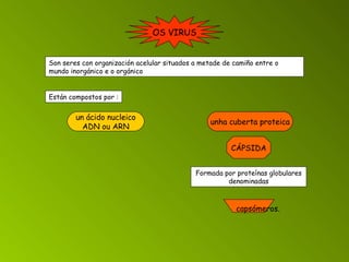 OS VIRUS Son seres con organización acelular situados a metade de camiño entre o mundo inorgánico e o orgánico Están compostos por : un ácido nucleico ADN ou ARN unha cuberta proteica CÁPSIDA Formada por proteínas globulares denominadas capsómeros. 