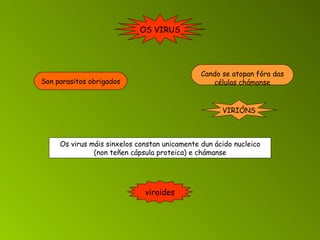 OS VIRUS Son parasitos obrigados Cando se atopan fóra das células chámanse viroides VIRIÓNS Os virus máis sinxelos constan unicamente dun ácido nucleico (non teñen cápsula proteica) e chámanse 