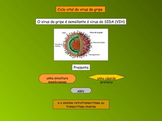 Ciclo vital do virus da gripe   e o enzima retrotranscritasa ou transcritasa inversa O virus da gripe é semellante ó virus do SIDA (VIH) Presenta unha envoltura membranosa unha cápside proteica ARN  