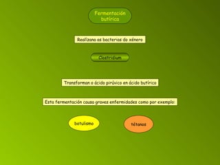 Fermentación butírica Realízana as bacterias do xénero Clostridium Transforman o ácido pirúvico en ácido butírico Esta fermentación causa graves enfermidades como por exemplo: botulismo tétanos 