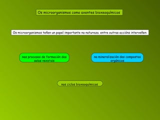 Os microorganismos como axentes bioxeoquímicos   nos ciclos bioxeoquímicos   Os microorganismos teñen un papel importante na natureza; entre outras accións interveñen: nos procesos de formación dos solos vexetais na mineralización dos compostos orgánicos 