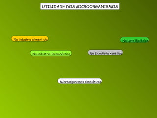UTILIDADE DOS MICROORGANISMOS Na industria alimenticia Na industria farmacéutica. En Enxeñería xenética Na Loita Biolóxica Microorganismos simbióticos 