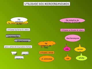 UTILIDADE DOS MICROORGANISMOS Na industria alimenticia Na industria láctea Utilízanse bacterias do xénero Lactobacillus Streptococus para a obtención de produtos lácteos iogur queixo requeixo Na industria de bebidas alcohólicas Utilízanse os lévedos do xénero Saccharomyces viño cervexa whisky ron Na industria do PAN Utilízanse o lévedo S. cerevisiae 