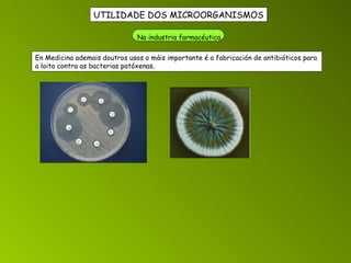 UTILIDADE DOS MICROORGANISMOS Na industria farmacéutica. En Medicina ademais doutros usos o máis importante é a fabricación de antibióticos para a loita contra as bacterias patóxenas. 