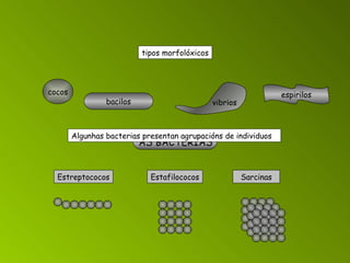 AS BACTERIAS   tipos morfolóxicos cocos bacilos espirilos Algunhas bacterias presentan agrupacións de individuos    Estreptococos Estafilococos Sarcinas vibrios 