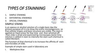 Microscopy and Identification of Mircobes | PPTX