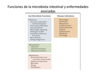 Funciones de la microbiota intestinal y enfermedades
asociadas
 