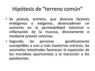 Hipótesis de "terreno común"
• Se postula, primero, que diversos factores
endógenos o exógenos, desencadenan un
aumento en la permeabilidad intestinal o
inflamación de la mucosa, directamente o
mediante presión selectiva.
• Segundo, las personas genéticamente
susceptibles a uno o más trastornos crónicos, las
anomalías intestinales favorecen la expansión de
los microbios oportunistas y la transición a los
patobiontes.
 