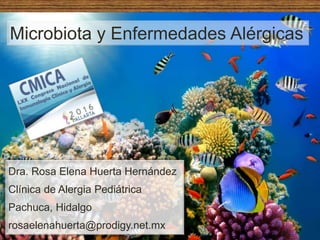 Microbiota y Enfermedades Alérgicas
Dra. Rosa Elena Huerta Hernández
Clínica de Alergia Pediátrica
Pachuca, Hidalgo
rosaelenahuerta@prodigy.net.mx
 