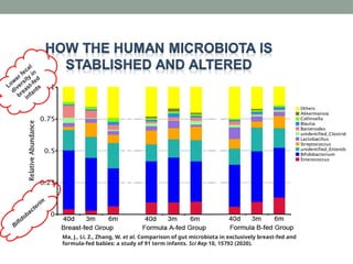 Low
er fecal
diversity
in
breast-fed
infants
Bifidobacterim
Ma, J., Li, Z., Zhang, W. et al. Comparison of gut microbiota in exclusively breast-fed and
formula-fed babies: a study of 91 term infants. Sci Rep 10, 15792 (2020).
 