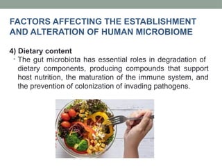 • The gut microbiota has essential roles in degradation of
dietary components, producing compounds that support
host nutrition, the maturation of the immune system, and
the prevention of colonization of invading pathogens.
FACTORS AFFECTING THE ESTABLISHMENT
AND ALTERATION OF HUMAN MICROBIOME
4) Dietary content
 