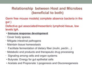 Relationship between Host and Microbes
(beneficial to both)
Germ free mouse models( complete absence bacteria in the
gut )
Defective gut associated/mesenteric lymphoid tissue, low
levels IgA.
• Immune response devolopment
• Cover body spaces.
• Mitigate intestinal pathogens
• Maintain tissue homeostasis
• Facilitate fermentation of dietary fiber (inulin, pectin…)
• Metabolic end products and therapeutic drug processing
• Signaling among cells and organ systems
• Butyrate: Energy for gut epithelial cells
• Acetate and Propionate: Lipogenesis and Gluconeogenesis
 