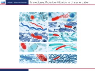 Sample & Assay Technologies

Microbiome: From identification to characterization

 