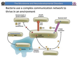 Microbiome and Mitochondria | PDF