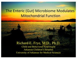 The	Enteric	(Gut)	Microbiome	Modulates	
Mitochondrial	Function
Richard E. Frye, M.D., Ph.D.
Child and Behavioral Neurologist
Arkansas Children’s Hospital
University of Arkansas for Medical Sciences
 