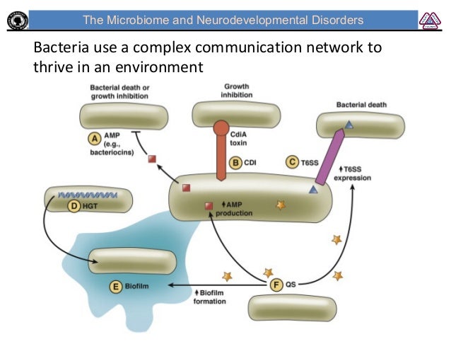 Microbiome and Mitochondria