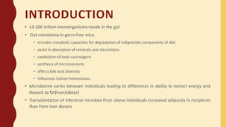 Gut Microbiota And Obesity Ppt