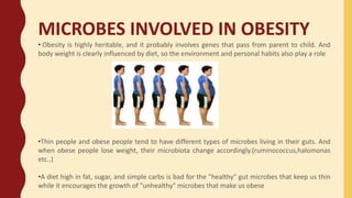 MICROBES INVOLVED IN OBESITY
• Obesity is highly heritable, and it probably involves genes that pass from parent to child. And
body weight is clearly influenced by diet, so the environment and personal habits also play a role
•Thin people and obese people tend to have different types of microbes living in their guts. And
when obese people lose weight, their microbiota change accordingly.(ruminococcus,halomonas
etc..)
•A diet high in fat, sugar, and simple carbs is bad for the "healthy" gut microbes that keep us thin
while it encourages the growth of "unhealthy" microbes that make us obese
 