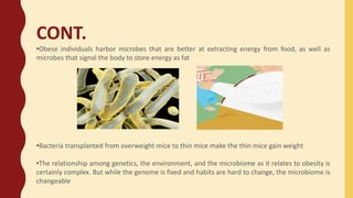 CONT.
•Obese individuals harbor microbes that are better at extracting energy from food, as well as
microbes that signal the body to store energy as fat
•Bacteria transplanted from overweight mice to thin mice make the thin mice gain weight
•The relationship among genetics, the environment, and the microbiome as it relates to obesity is
certainly complex. But while the genome is fixed and habits are hard to change, the microbiome is
changeable
 