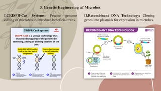 Microbiome Engineering: Shaping a Sustainable Future.pptx