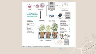 Microbiome Engineering: Shaping a Sustainable Future.pptx
