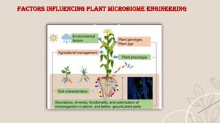 Microbiome Engineering: Shaping a Sustainable Future.pptx