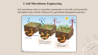 Microbiome Engineering: Shaping a Sustainable Future.pptx