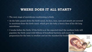 WHERE DOES IT ALL START?
• The next stage of microbiome conditioning is birth.
• As the baby passes down the birth canal, its face, eyes, ears and mouth are covered
in secretions from the birth canal, which give the baby a heavy dose of his life long
microbiome.
• 3 weeks before the birth, (if the birth is at the expected time) the mothers body will
populate the birth canal with billions of beneficial bacteria and yeasts, in
preparation for the baby to swallow and set the standard for health.
 
