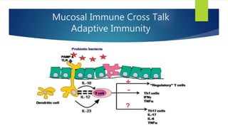 Mucosal Immune Cross Talk
Adaptive Immunity
 