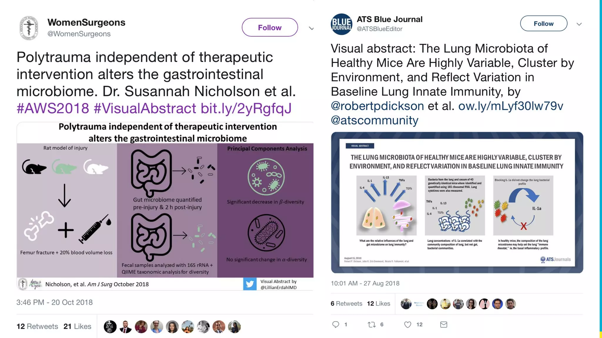 Visual Abstracts
Polytrauma example:
<https://twitter.com/WomenSurgeons/status/1053734213558636544>
Lung microbiota example:
<https://twitter.com/ATSBlueEditor/status/1034078368323514368>
 
