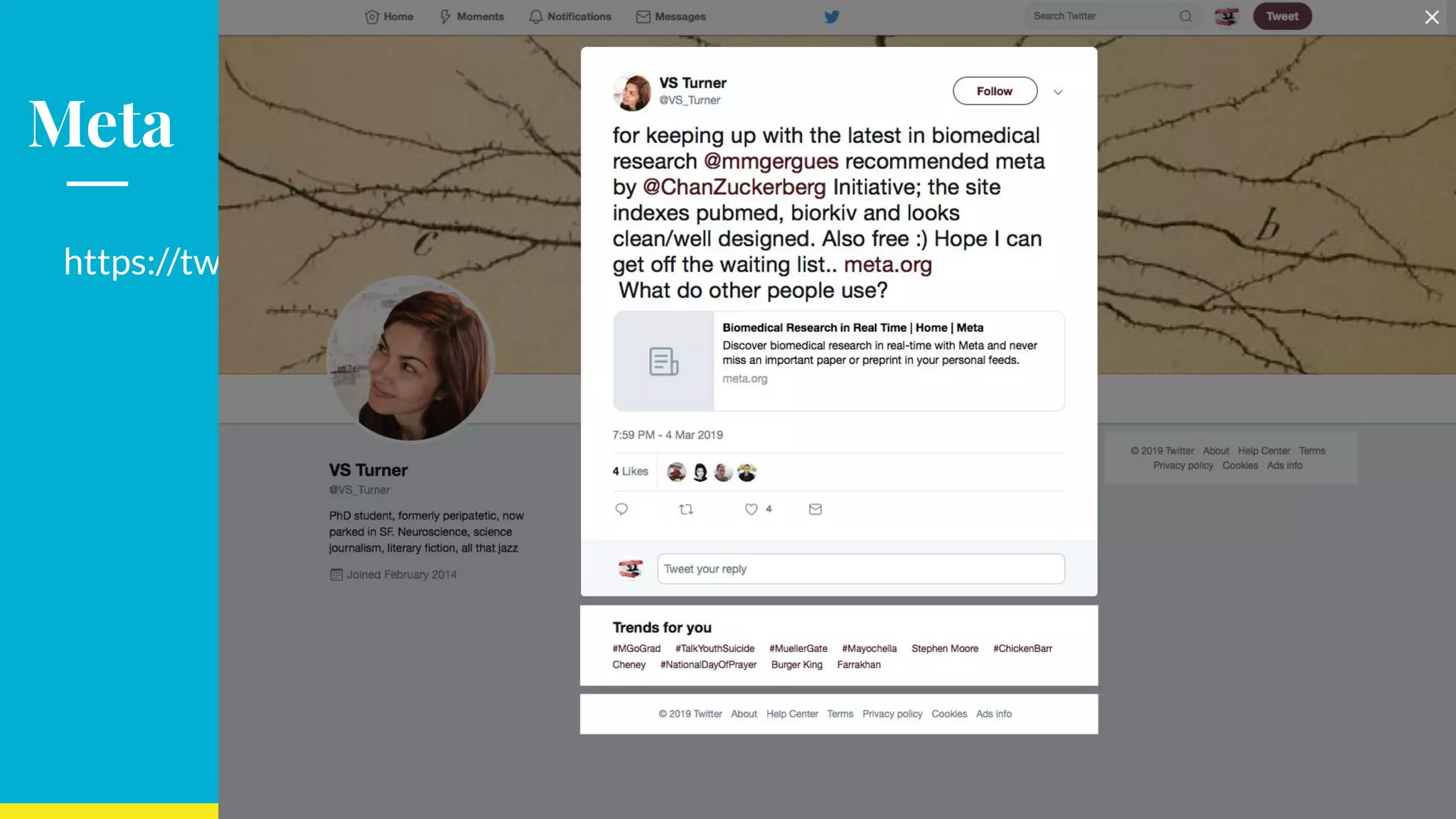 Meta
https://twitter.com/VS_Turner/status/1102735357626396672
 