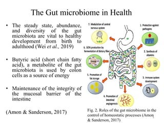 The Gut microbiome in Health
• The steady state, abundance,
and diversity of the gut
microbiota are vital to healthy
development from birth to
adulthood (Wei et al., 2019)
• Butyric acid (short chain fatty
acid), a metabolite of the gut
microbiota is used by colon
cells as a source of energy
• Maintenance of the integrity of
the mucosal barrier of the
intestine
(Amon & Sanderson, 2017) Fig. 2. Roles of the gut microbiome in the
control of homeostatic processes (Amon
& Sanderson, 2017)
6
 