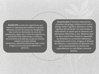 Autótrofo a todos los organismos que
tienen la capacidad para elaborar su propio
alimento a partir de sustancias inorgánicas
tales como los elementos no vivos del
planeta (luz, agua, etc.). Entre los organismos
autótrofos más importantes y comunes
encontramos a las plantas ya que las mismas
realizan su propia síntesis
alimentaria, utilizando elementos tales como
el agua y la luz solar para elaborar su
alimento.
Heterótrofos El término heterótrofo
proviene del griego, idioma en el cual el
prefijo hetero significa diferente y trofos
significa alimentación. De este modo, el
heterótrofo es aquel que se alimenta con
elementos diferentes a uno. Mientras que
los seres autótrofos tienen la capacidad
de sintetizar en su interior elementos
inorgánicos como la luz, el agua, el dióxido
de carbono y convertirlos en alimento, los
seres heterótrofos no tienen esa
capacidad por lo cual deben consumir
plantas
 