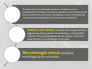 El campo de la microbiología puede ser dividido en varias
subdisciplinas: Fisiología microbiana: estudio a nivel bioquímico del
funcionamiento de las células microbianas. Incluye el estudio del
crecimiento, el metabolismo y la estructura microbianas.
Genética microbiana: estudio de la organización y
regulación de los genes microbianos y como éstos
afectan el funcionamiento de las células. Está muy
relacionada con la biología molecular.
Microbiología clínica: estudia la
morfología de los microbios.
 