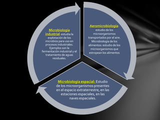 Aeromicrobiología:
estudio de los
microorganismos
transportados por el aire.
Microbiología de los
alimentos: estudio de los
microorganismos que
estropean los alimentos
Microbiología espacial: Estudio
de los microorganismos presentes
en el espacio extraterrestre, en las
estaciones espaciales, en las
naves espaciales.
Microbiología
industrial: estudia la
explotación de los
microbios para uso en
procesos industriales.
Ejemplos son la
fermentación industrial y el
tratamiento de aguas
residuales.
 