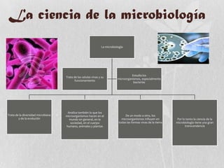 La ciencia de la microbiología
La microbiología
Trata de la diversidad microbiana
y de la evolución
Analiza también lo que los
microorganismos hacen en el
mundo en general, en la
sociedad, en el cuerpo
humano, animales y plantas
De un modo a otro, los
microorganismos influyen en
todas las formas vivas de la tierra
Por lo tanto la ciencia de la
microbiología tiene una gran
transcendencia
Trata de las celulas vivas y su
funcionamiento
Estudia los
microorganismos, especialmente
bacterias
 