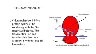 PROTEIN SYNTHESIS INHIBITION | PPTX