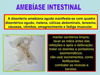 A disenteria amebiana aguda manifesta-se com quadro disentérico agudo, melena, cólicas abdominais, tenesmo, náuseas, vômitos, emagrecimento e fadiga muscular.  manter sanitários limpos;  lavar as mãos antes das refeições e após a defecação;  tratar os doentes e portadores assintomáticos;  não usar excrementos, como fertilizantes;  combater as moscas e baratas.  AMEBÍASE INTESTINAL 