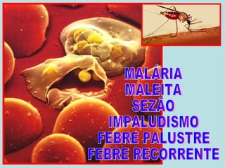 MALÁRIA MALEITA SEZÃO IMPALUDISMO FEBRE PALUSTRE FEBRE RECORRENTE 