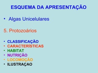 ESQUEMA DA APRESENTAÇÃO Algas Unicelulares Protozoários CLASSIFICAÇÃO CARACTERÍSTICAS HABITAT NUTRIÇÃO LOCOMOÇÃO ILUSTRAÇAO 